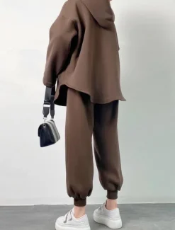 Best Comfry Fleece Women Sweatshirt Hoodie Tracksuit Warm Long Sleeve Brown Spring Fall Women Two Piece Sets