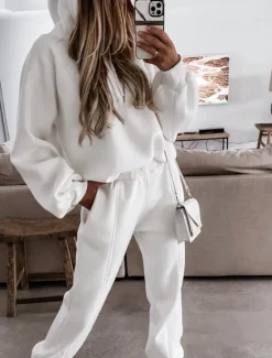 Hot Women's Active Streetwear Tracksuit Pants Sets Sweatshirt Long Sleeve Hooded Solid Color Sports Outdoor Casual Black White Green Fall & Winter Regular Fit Women Two Piece Sets