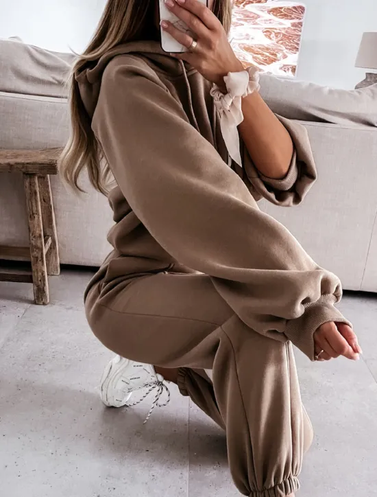 Hot Women's Active Streetwear Tracksuit Pants Sets Sweatshirt Long Sleeve Hooded Solid Color Sports Outdoor Casual Black White Green Fall & Winter Regular Fit Women Two Piece Sets