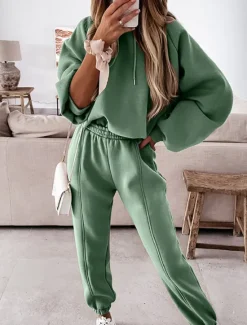 Hot Women's Active Streetwear Tracksuit Pants Sets Sweatshirt Long Sleeve Hooded Solid Color Sports Outdoor Casual Black White Green Fall & Winter Regular Fit Women Two Piece Sets