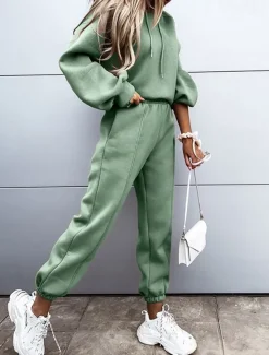 Hot Women's Active Streetwear Tracksuit Pants Sets Sweatshirt Long Sleeve Hooded Solid Color Sports Outdoor Casual Black White Green Fall & Winter Regular Fit Women Two Piece Sets