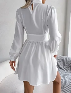 Discount Women's Black Dress Mini Dress Ruched Hollow Out Casual Stand Collar Long Sleeve Black White Wine Color Women Cocktail Dress