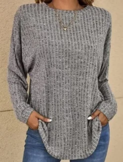 Clearance Women's Blouse Solid Color Basic Casual Long Sleeve Crew Neck Regular Tops Daily Blue Purple Gray Spring Fall Women Blouses & Shirts