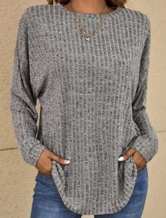 Clearance Women's Blouse Solid Color Basic Casual Long Sleeve Crew Neck Regular Tops Daily Blue Purple Gray Spring Fall Women Blouses & Shirts