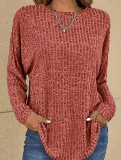 Clearance Women's Blouse Solid Color Basic Casual Long Sleeve Crew Neck Regular Tops Daily Blue Purple Gray Spring Fall Women Blouses & Shirts
