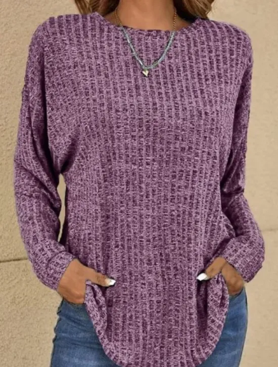 Clearance Women's Blouse Solid Color Basic Casual Long Sleeve Crew Neck Regular Tops Daily Blue Purple Gray Spring Fall Women Blouses & Shirts