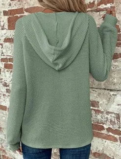 Best Women's Blouse Solid Color Stylish Casual Long Sleeve Hooded Regular Tops Daily Buttons Black Army Green Navy Blue Blue Brown Spring Fall Winter Women Hoodies & Sweatshirts