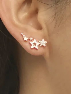 Online Women's Earrings Fashion Outdoor Star Earring Women Trendy Jewelry