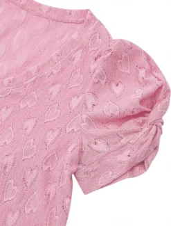 Discount Women's Elegant Lace Tops Eyelet Blouse Solid Color Regular Tops Short Sleeve V Neck Regular Fit Daily Stylish Casual Romantic Petite Tops Summer Holiday Wear Pink Blue Summer Spring Fall Women Lace Tops