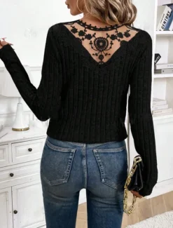Discount Women's Elegant Lace Tops Eyelet Blouse Fashion Modern Casual Plain Regular Tops Long Sleeve V Neck Regular Fit Daily Weekend Romantic Petite Tops Summer Holiday Wear Black Light Grey Beige Fall Women Lace Tops