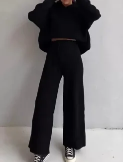 Best Women's Fashion Streetwear Daily Hoodie Sweatpants Long Sleeve Crew Neck Plain Drawstring Casual Daily Black White Blue Fall Regular Fit Women Two Piece Sets