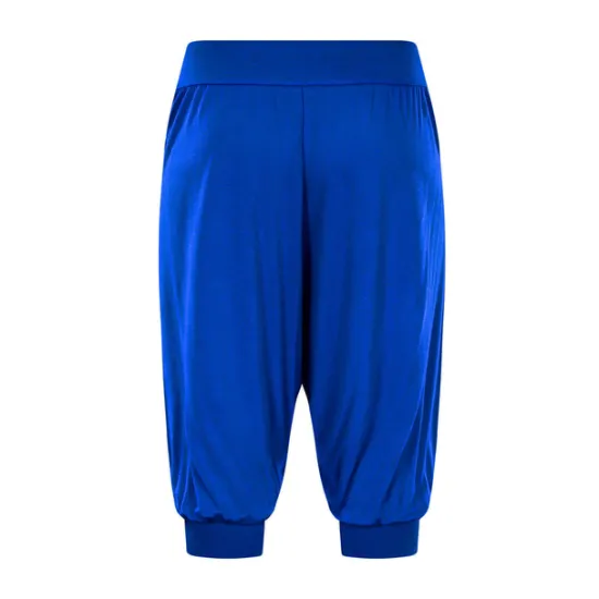 Online Women's Harem Pants Quick Dry Lightweight High Waist Yoga Zumba Fitness Gym Workout Bloomers Capri Pants Fashion White Black Green Modal Plus Size Sports Activewear High Elasticity Loose / Royal Blue Women Pants