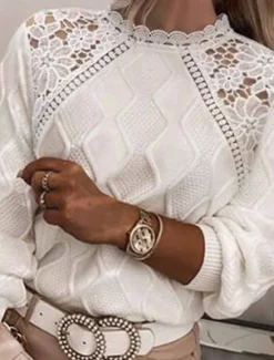 Best Women's Lace Splicing Top Plain Fashion Modern Casual Long Sleeve Turtleneck Regular Tops Daily Weekend Lace Patchwork White Blue Spring Fall Women Pullovers & Tops