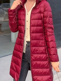 Discount Women's Puffer Jacket Warm Breathable Zipper Pocket Casual Plain Vacation Street Daily Wear Going out Zipper Long Hoodie Regular Fit Long Sleeve Outerwear Wine Red Fuchsia Fall Winter Women Puffers & Parka