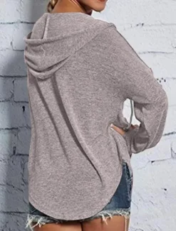 Online Women's Pullover Hoodie Sweatshirt Plain Casual Long Sleeve Hooded Regular Tops Street Dailywear Black Pink Blue Gray Fall Winter Women Hoodies & Sweatshirts