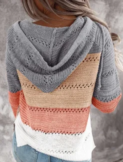 Discount Women's Pullover Sweater Jumper Casual Soft Color Block Crochet Hooded Thin Long Sleeve Tunic Knit Work Daily Holiday Black Wine Fall Winter Women Pullovers & Tops