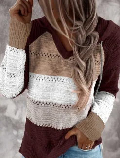 Discount Women's Pullover Sweater Jumper Casual Soft Color Block Crochet Hooded Thin Long Sleeve Tunic Knit Work Daily Holiday Black Wine Fall Winter Women Pullovers & Tops