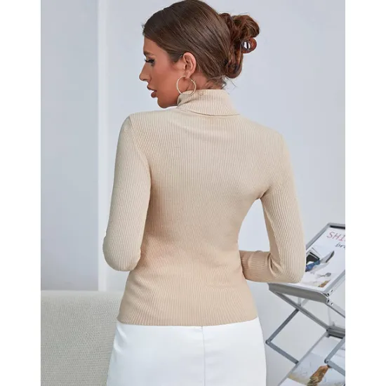 Online Women's Pullover Sweater Jumper Basic Casual Solid Color Ribbed Turtleneck Knitted Thin Long Sleeve Knit Daily Black+White+Gray Black+Apricot+Brown Fall Winter Women Pullovers & Tops