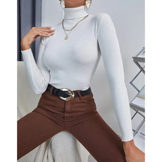 Online Women's Pullover Sweater Jumper Basic Casual Solid Color Ribbed Turtleneck Knitted Thin Long Sleeve Knit Daily Black+White+Gray Black+Apricot+Brown Fall Winter Women Pullovers & Tops
