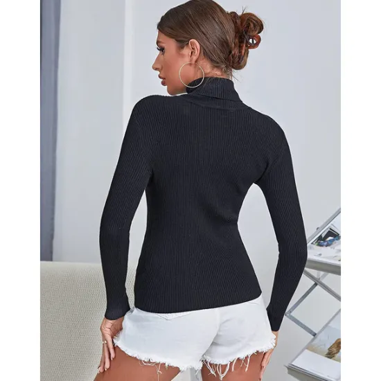 Online Women's Pullover Sweater Jumper Basic Casual Solid Color Ribbed Turtleneck Knitted Thin Long Sleeve Knit Daily Black+White+Gray Black+Apricot+Brown Fall Winter Women Pullovers & Tops
