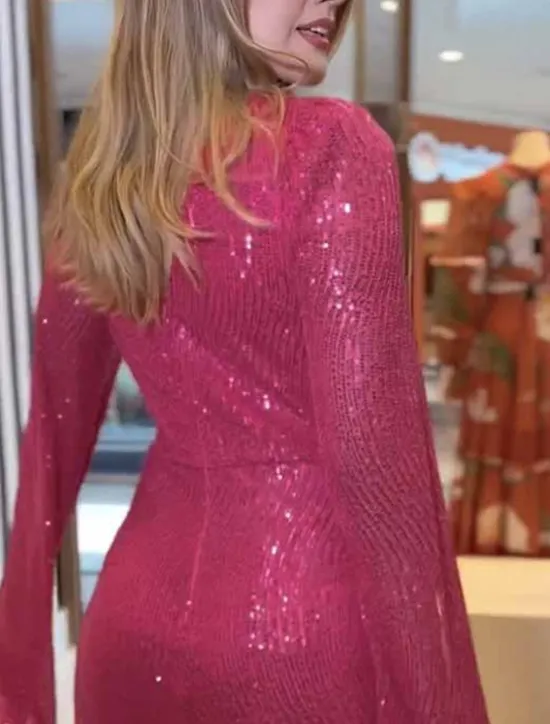 Outlet Women's Sequin Dress Prom Dress Party Dress Sequins Glitter V Neck Long Sleeve Winter Dress Champagne Red Fall Winter Women Cocktail Dress