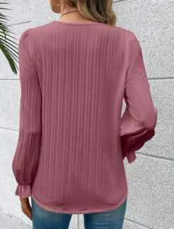 Clearance Women's Shirt Blouse Solid Color Stylish Casual Long Sleeve V Neck Regular Tops Daily Lace Patchwork White Blue Purple Fuchsia Summer Spring Women Lace Tops