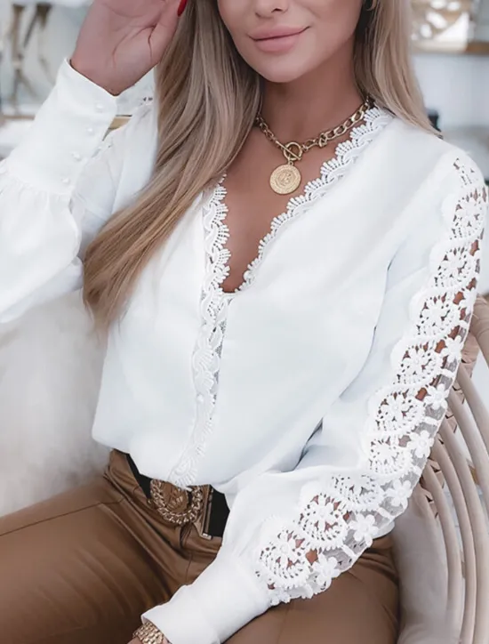 Clearance Women's Shirt Blouse Eyelet Tops Black Pink Plain Lace Cut Out Long Sleeve Work Daily Business Elegant Casual V Neck Regular S Women Lace Tops