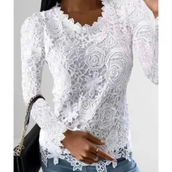 Outlet Women's Shirt Blouse White Eyelet Tops Black White Pink Plain Lace Long Sleeve Work Streetwear Casual Round Neck Regular Floral S Women Lace Tops