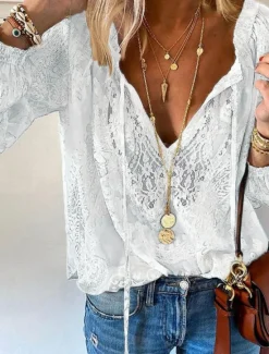 Online Women's Shirt Boho Shirt Blouse Solid Color Stylish Casual Long Sleeve V Neck Regular Tops Daily Lace Patchwork Black White Pink Beige Summer Spring Women Lace Tops