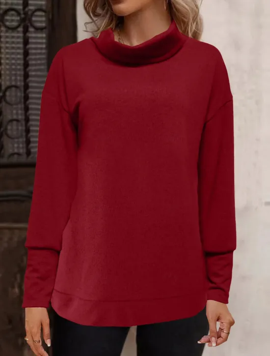 Best Women's Solid Color Fashion Long Sleeve Turtleneck Pile Neck Regular Tops Casual Sports Black Pink Wine Orange Khaki Fall & Winter Women Hoodies & Sweatshirts