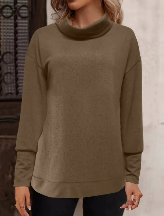 Best Women's Solid Color Fashion Long Sleeve Turtleneck Pile Neck Regular Tops Casual Sports Black Pink Wine Orange Khaki Fall & Winter Women Hoodies & Sweatshirts