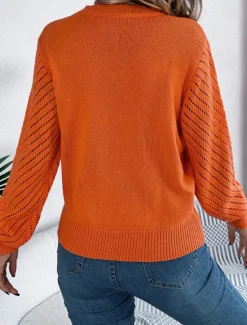 Hot Women's Sweater Casual Soft Pure Color Ribbed Crew Neck Knitted Hole Long Sleeve Regular Tops Knit Outdoor Daily Weekend White Orange Fall Winter Women Pullovers & Tops