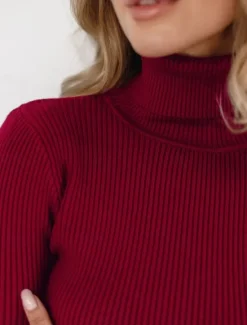 Discount Women's Sweater Casual Soft Pure Color Ribbed Turtleneck Knitted Long Sleeve Regular Tops Knit Outdoor Daily Weekend Black White Fall Winter Women Pullovers & Tops