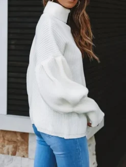 Online Women's Sweater Casual Soft Pure Color Ribbed Turtleneck Knitted Long Sleeve Regular Tops Knit Outdoor Daily Weekend Fall Winter Women Pullovers & Tops