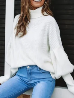 Online Women's Sweater Casual Soft Pure Color Ribbed Turtleneck Knitted Long Sleeve Regular Tops Knit Outdoor Daily Weekend Fall Winter Women Pullovers & Tops