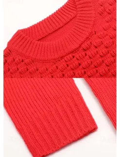 Best Women's Sweater Daily Casual Solid Color Crew Neck Knitted Textured Long Sleeve Long Tops Knit Home Work Weekend Red Brown Fall Winter Women Pullovers & Tops