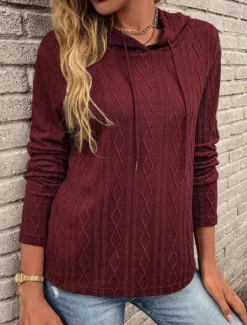 Clearance Women's Sweater Pullover Sweater Jumper Casual Soft Pure Color Ribbed Hooded Knitted Long Sleeve Regular Tops Knit Outdoor Daily Weekend Wine Brown Fall Winter Women Pullovers & Tops
