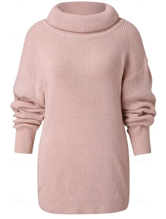 Sale Women's Sweater Streetwear Work Casual Solid Color Turtleneck Knitted Long Sleeve Long Tops Knit Home Black White Fall Winter Women Pullovers & Tops