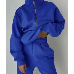 Best Women's Tracksuit Sweatsuit 2 Pieces Half Zip Fleece Pullover Warm Breathable Soft Sportswear Activewear Rosy Pink Light Green Blue Long Sleeve Athleisure Casual Women Two Piece Sets