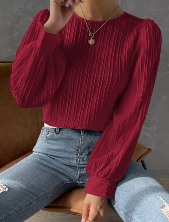 Online Women's Tunic Elegant Casual Solid Color Lantern Sleeve Long Sleeve Regular Tops Crew Neck Daily White Wine Blue Purple Spring Fall Women Blouses & Shirts