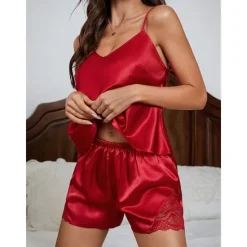 Women's Valentine Sexy Lingerie Lace Sexy Bodies Bra Mesh Nightwear Solid Colored Pink Red Blue Spring Summer Red Home Outfits Date Night Outfit Women Lingerie