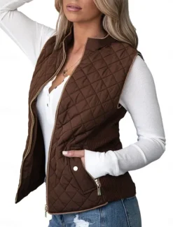 Online Women's Vest Comfortable Breathable Zipper Pocket Casual Plain Vacation Street Casual Daily Wear Zipper Regular Stand Collar Regular Fit Sleeveless Outerwear Pink Blue Brown Spring Fall Women Vest