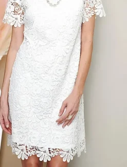 Best Women's Dress Mini Dress Lace with Sleeve Date Vacation Basic Crew Neck Short Sleeve Color Women White Dresses