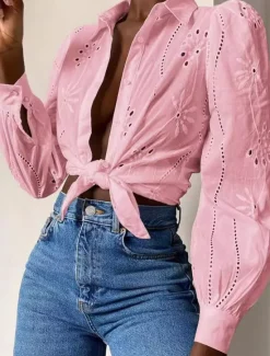 Outlet Women's White Elegant Lace Tops Eyelet Blouse Casual Solid Color Lace Lantern Sleeve Long Sleeve Regular Tops Shirt Collar Daily Romantic Petite Tops Summer Holiday Wear White Pink Green Spring Fall Women Lace Tops