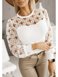 Women's White Elegant Lace Tops Eyelet Blouse Stylish Modern Hollow Out Long Sleeve Regular Tops Crew Neck Work Daily Romantic Petite Tops Summer Holiday Wear Black White Spring Fall Women Lace Tops