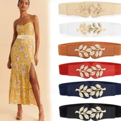 Hot Women's Wide Belt Corset Belt Canvas Metal Bucke Geometric Cord Wowen Formal Work Daily Black White Red Navy Blue Women Belt